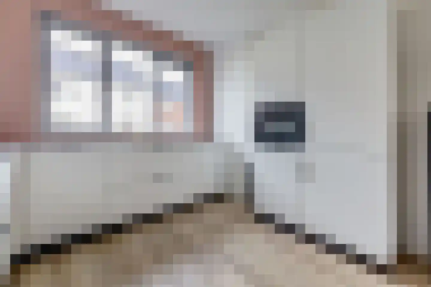 Ranonkel 22 Vlijmen thumbnail 13