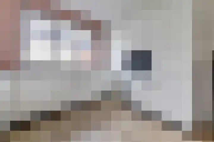 Ranonkel 22 Vlijmen thumbnail 13