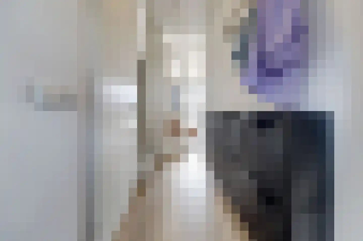 Ranonkel 22 Vlijmen thumbnail 16