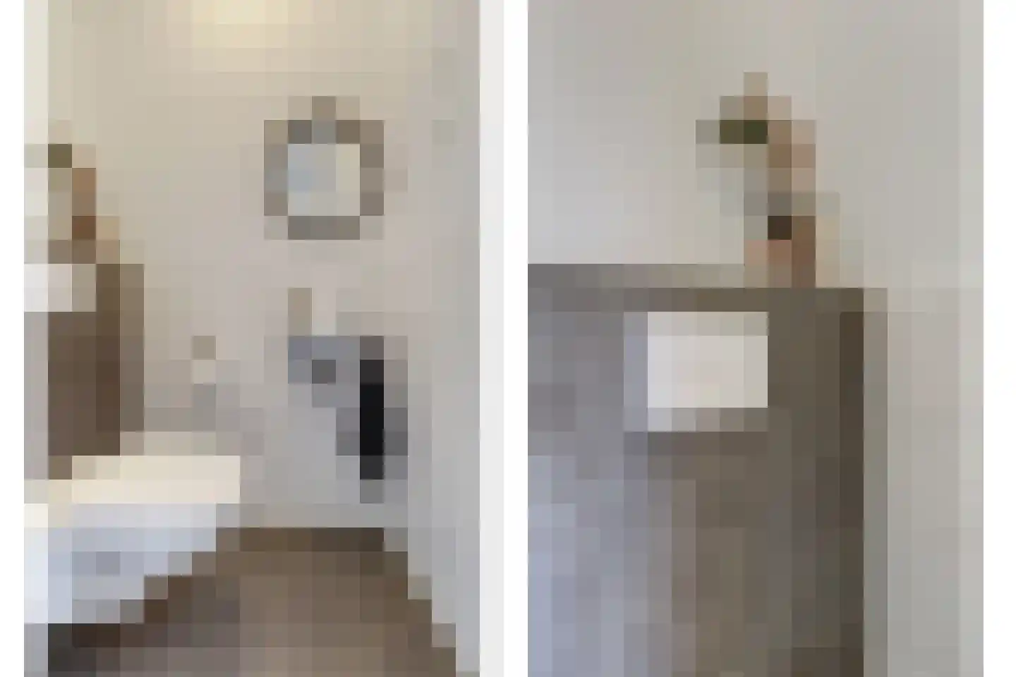 Ranonkel 22 Vlijmen thumbnail 18