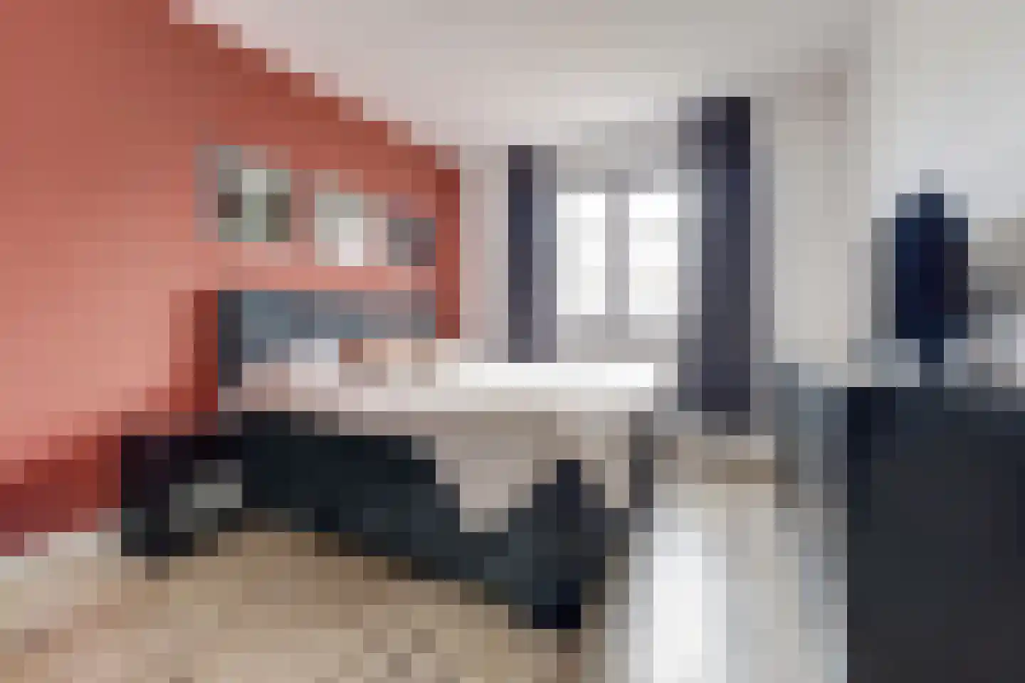 Ranonkel 22 Vlijmen thumbnail 20