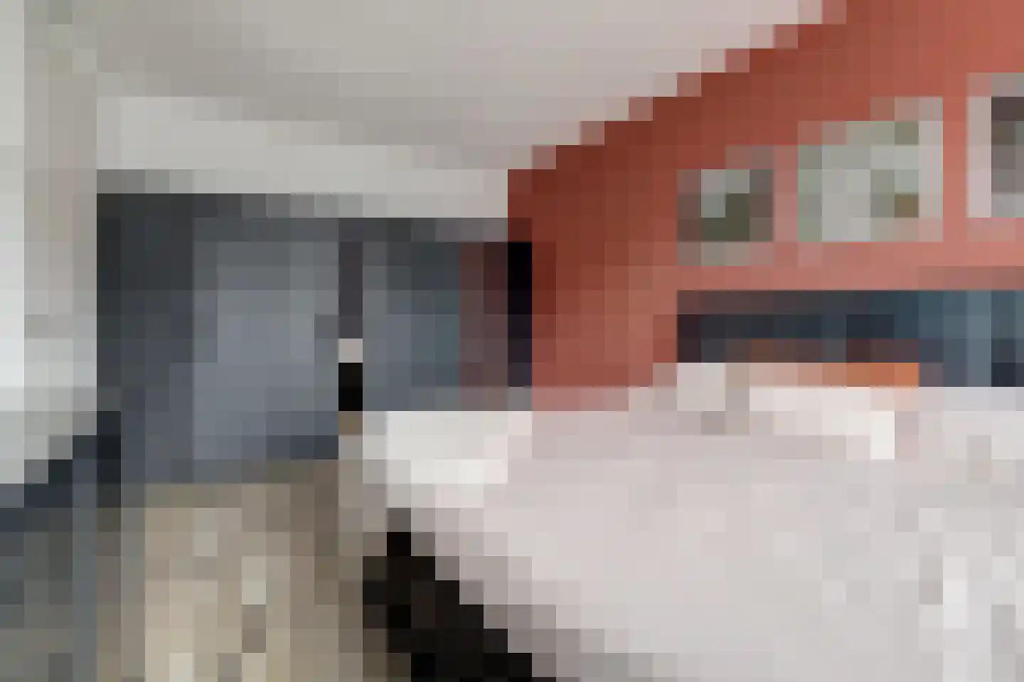 Ranonkel 22 Vlijmen thumbnail 22