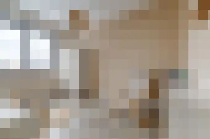 Ranonkel 22 Vlijmen thumbnail 23
