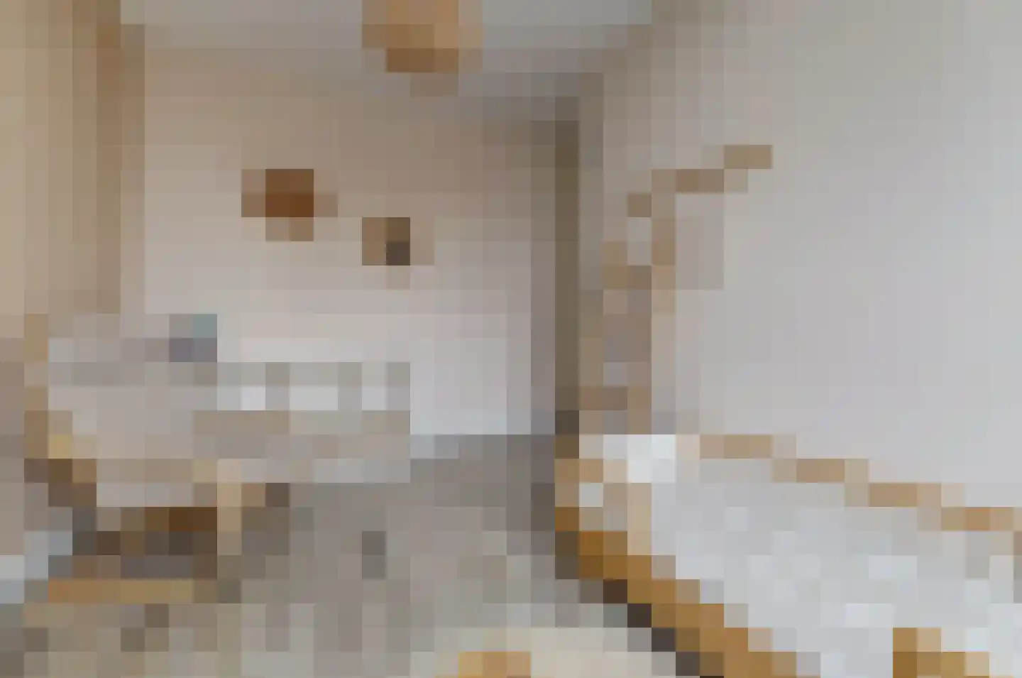 Ranonkel 22 Vlijmen thumbnail 25