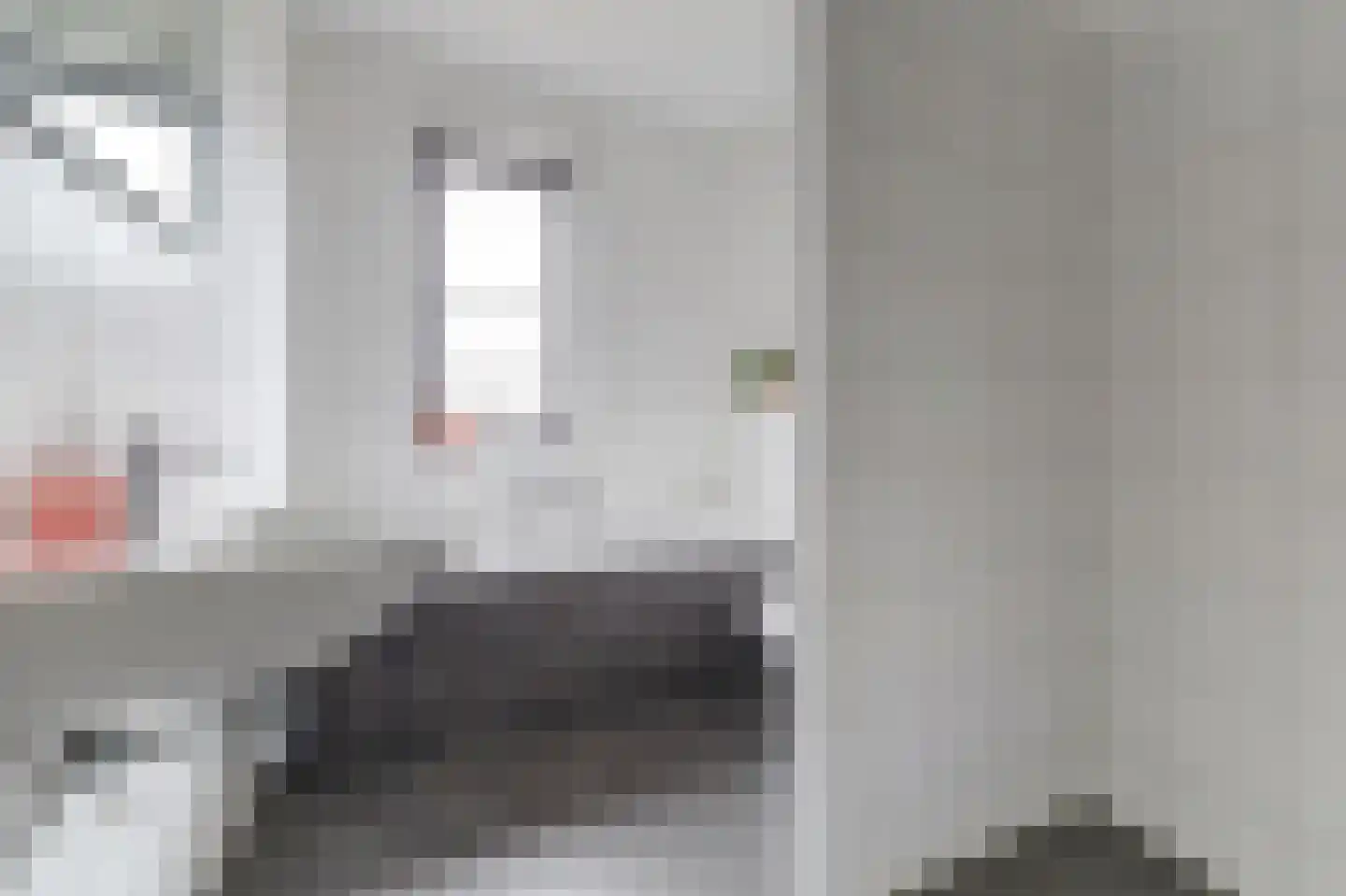 Ranonkel 22 Vlijmen thumbnail 26