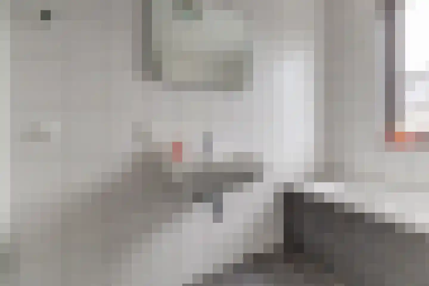 Ranonkel 22 Vlijmen thumbnail 27