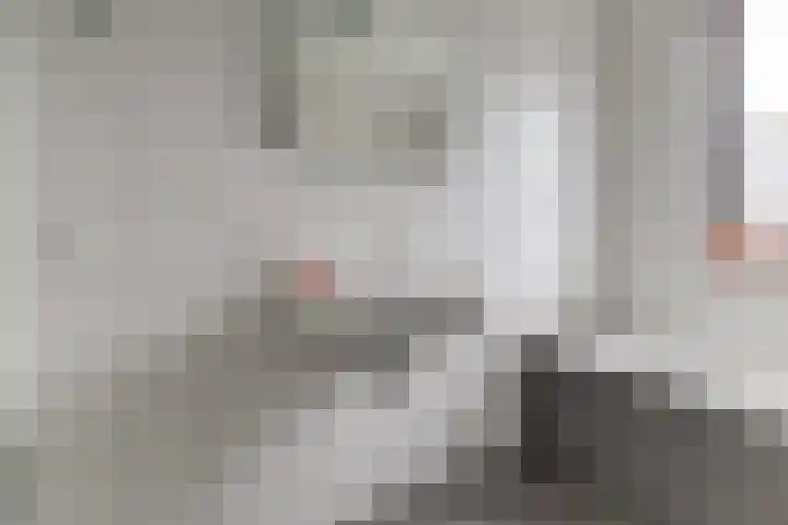 Ranonkel 22 Vlijmen thumbnail 27