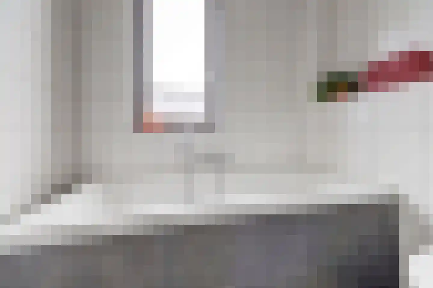 Ranonkel 22 Vlijmen thumbnail 28