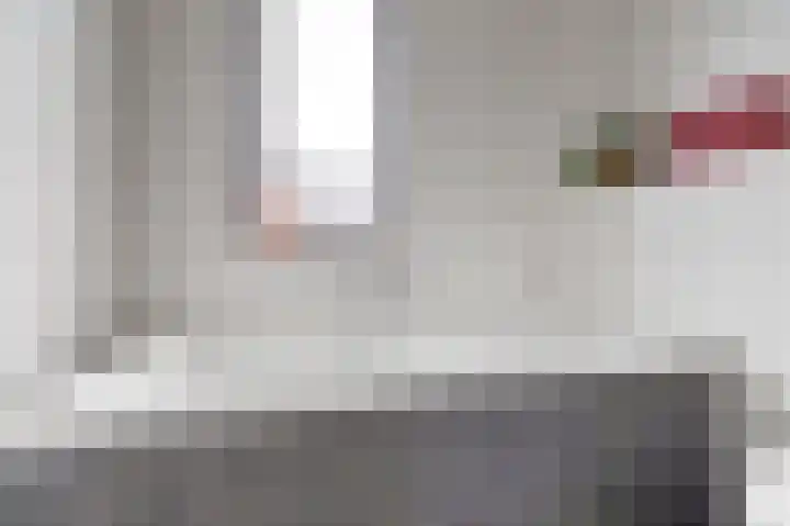 Ranonkel 22 Vlijmen thumbnail 28