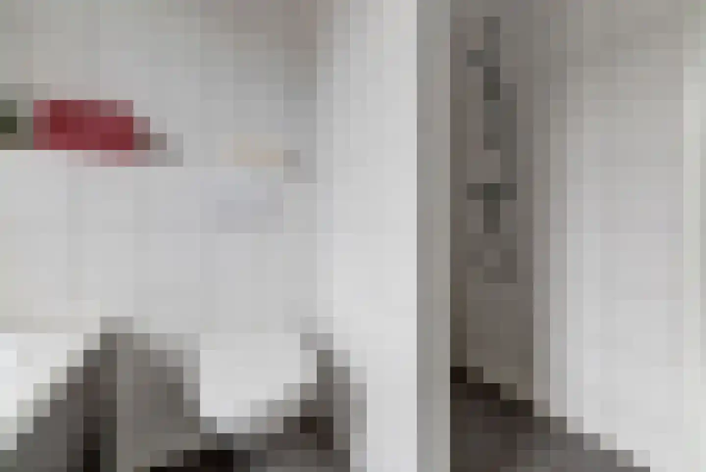 Ranonkel 22 Vlijmen thumbnail 29