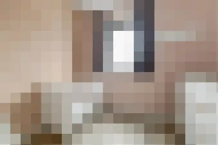 Ranonkel 22 Vlijmen thumbnail 30