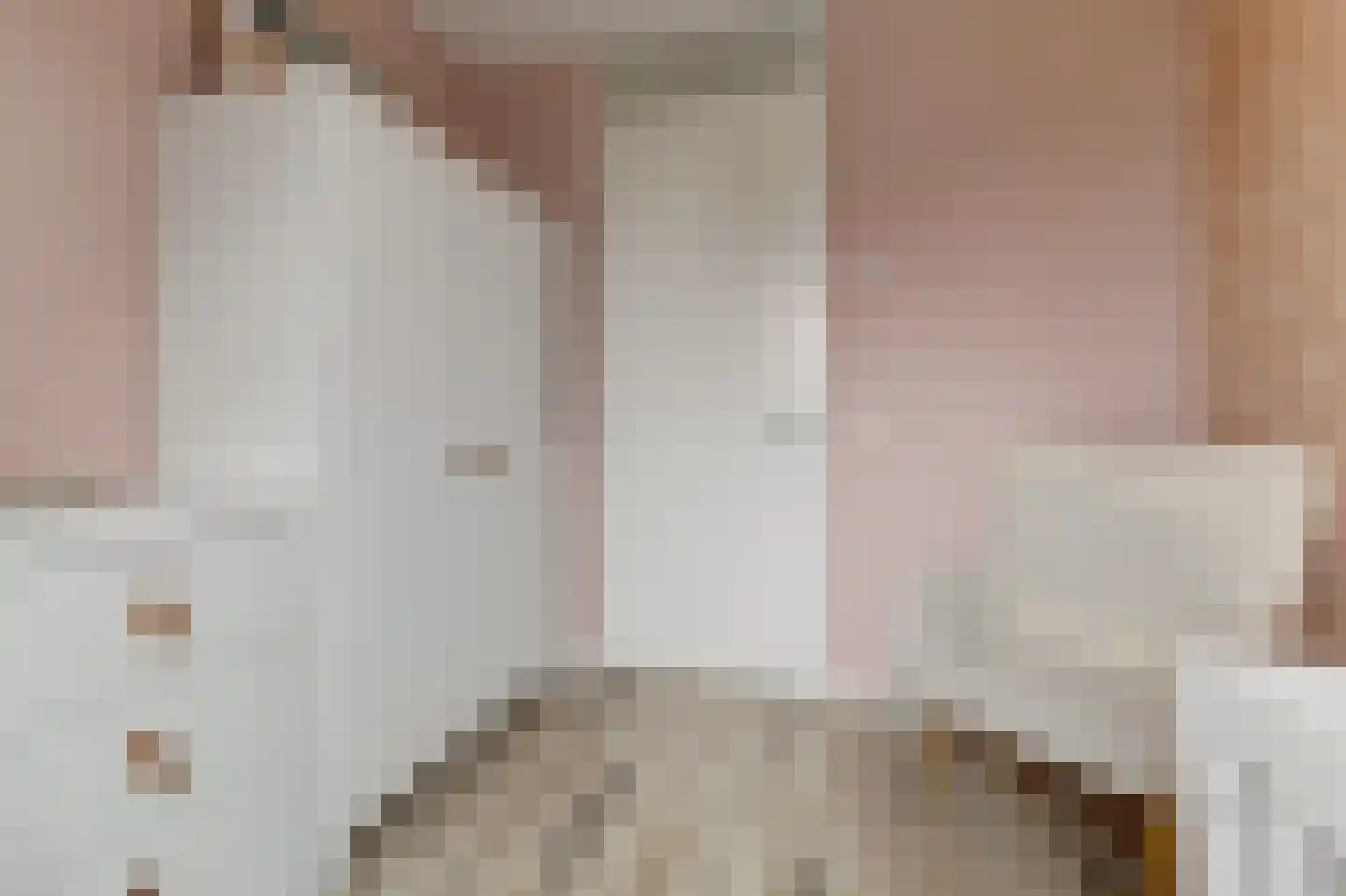 Ranonkel 22 Vlijmen thumbnail 31