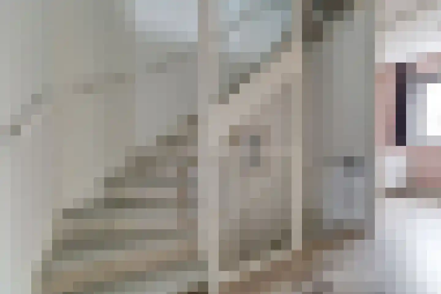 Ranonkel 22 Vlijmen thumbnail 32