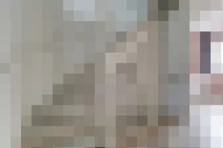 Ranonkel 22 Vlijmen thumbnail 32