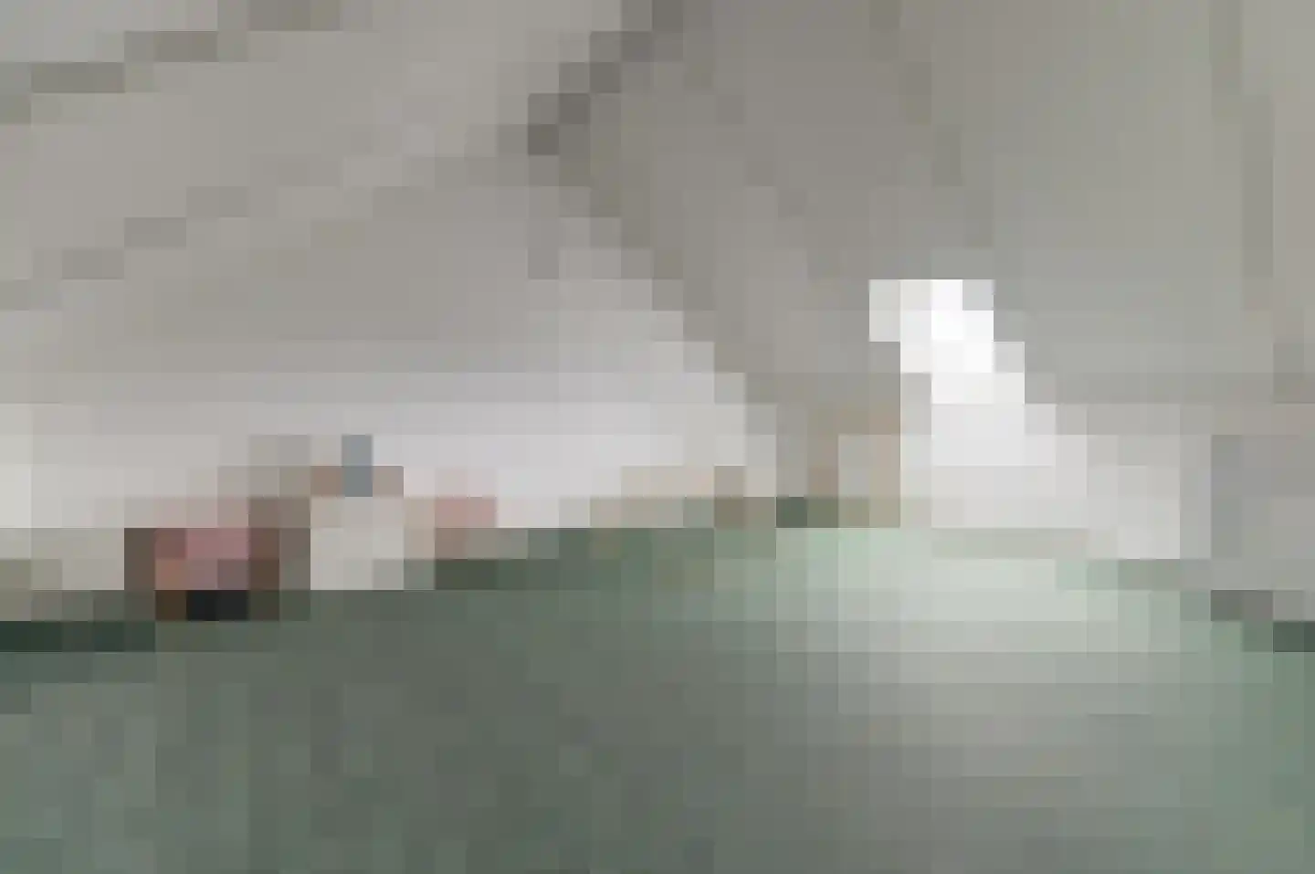 Ranonkel 22 Vlijmen thumbnail 34