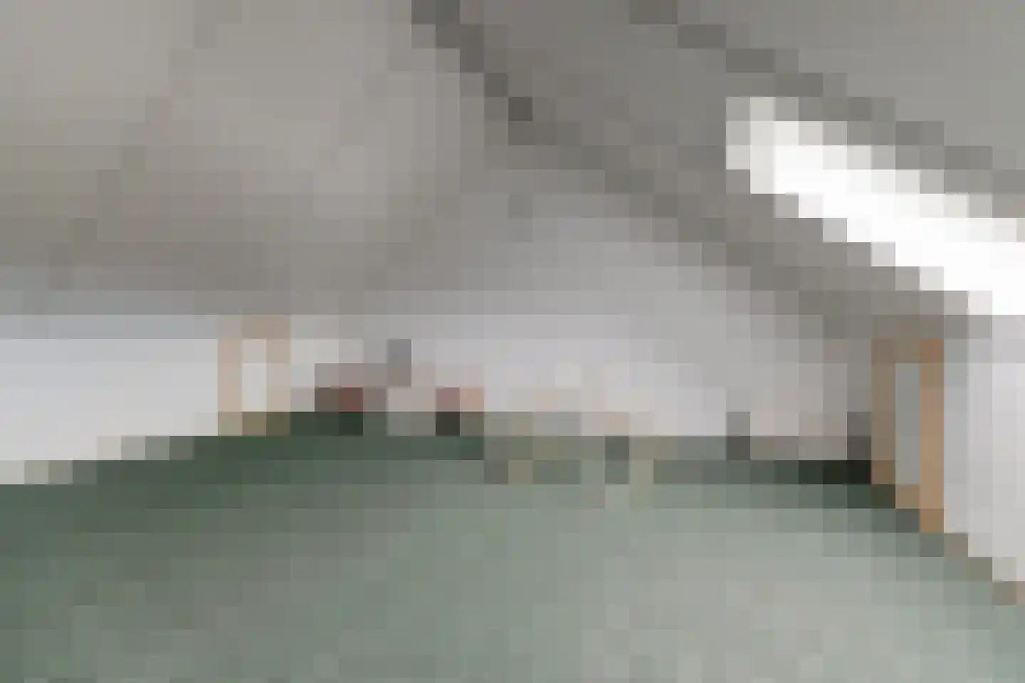 Ranonkel 22 Vlijmen thumbnail 35