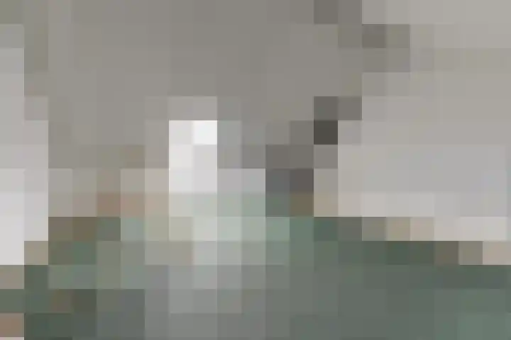 Ranonkel 22 Vlijmen thumbnail 36