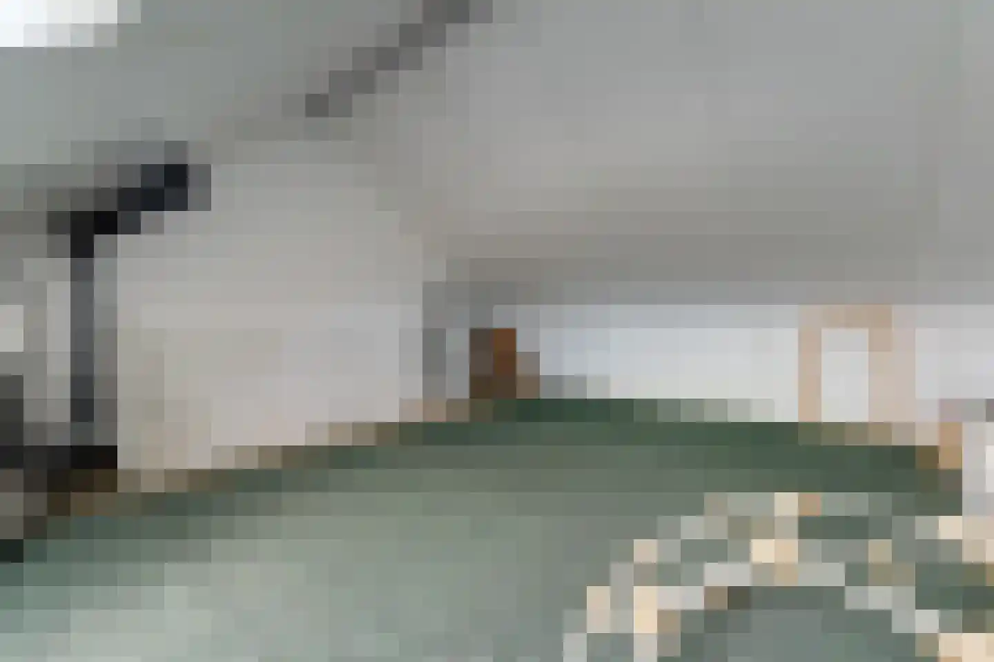 Ranonkel 22 Vlijmen thumbnail 37