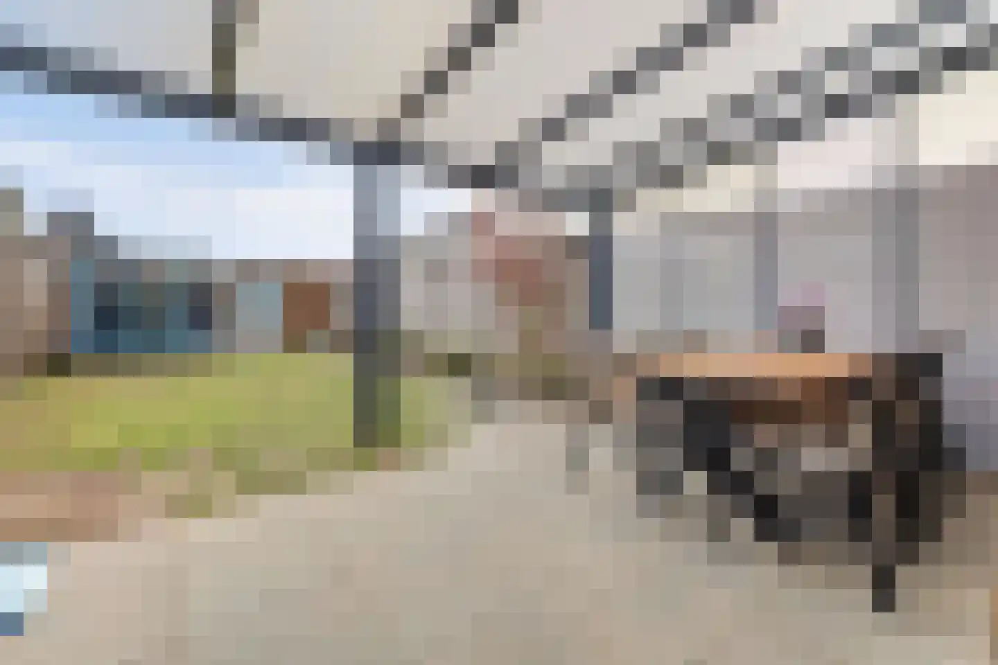Ranonkel 22 Vlijmen thumbnail 39