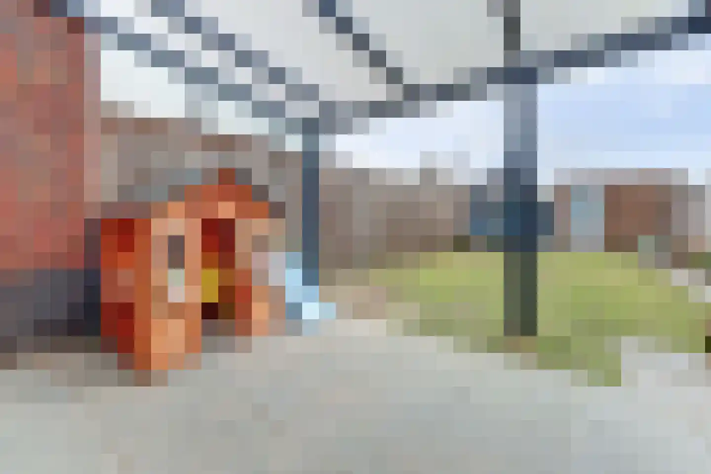 Ranonkel 22 Vlijmen thumbnail 40