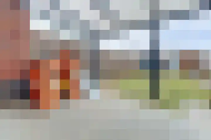Ranonkel 22 Vlijmen thumbnail 40