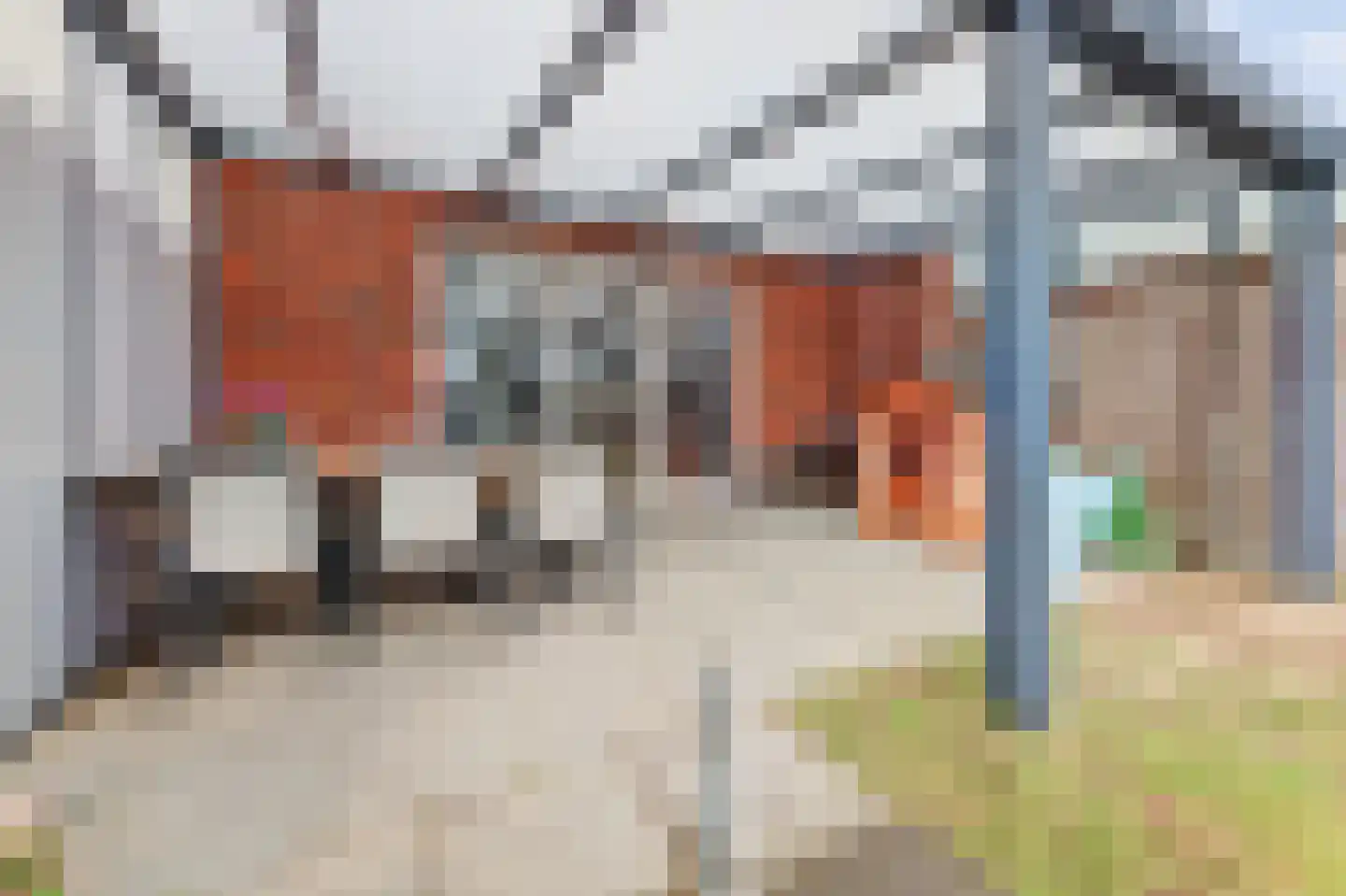 Ranonkel 22 Vlijmen thumbnail 41