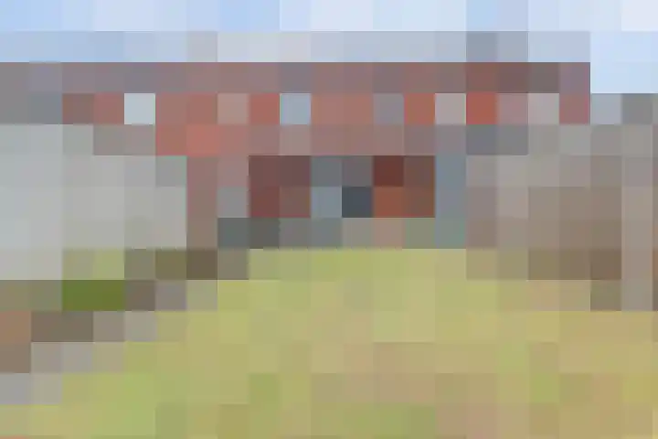 Ranonkel 22 Vlijmen thumbnail 43