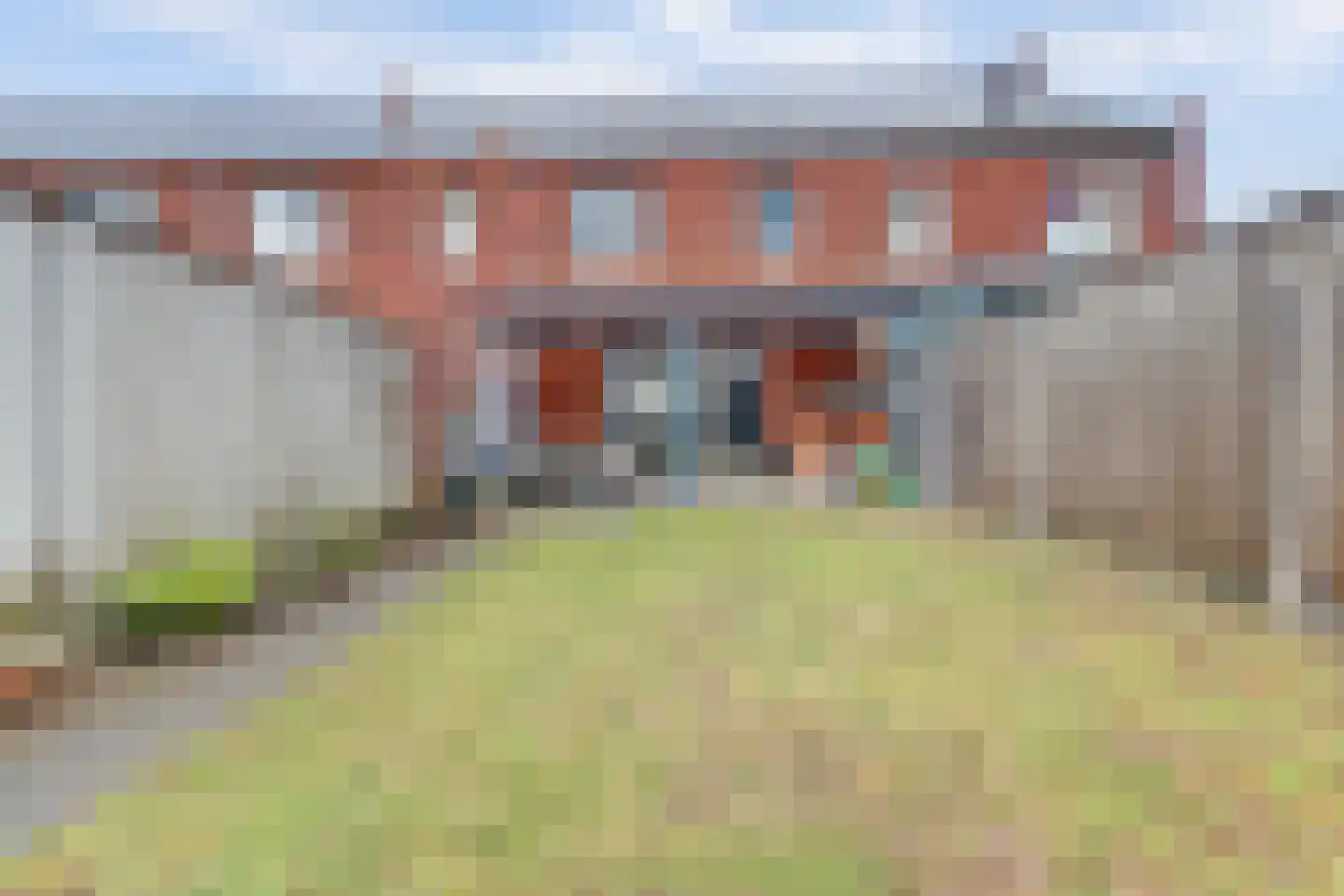 Ranonkel 22 Vlijmen thumbnail 43