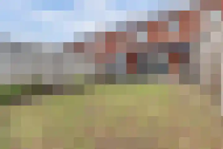 Ranonkel 22 Vlijmen thumbnail 44