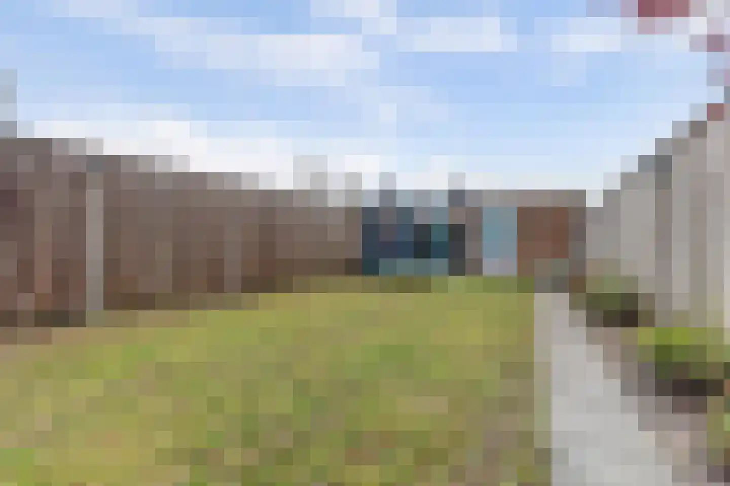 Ranonkel 22 Vlijmen thumbnail 45