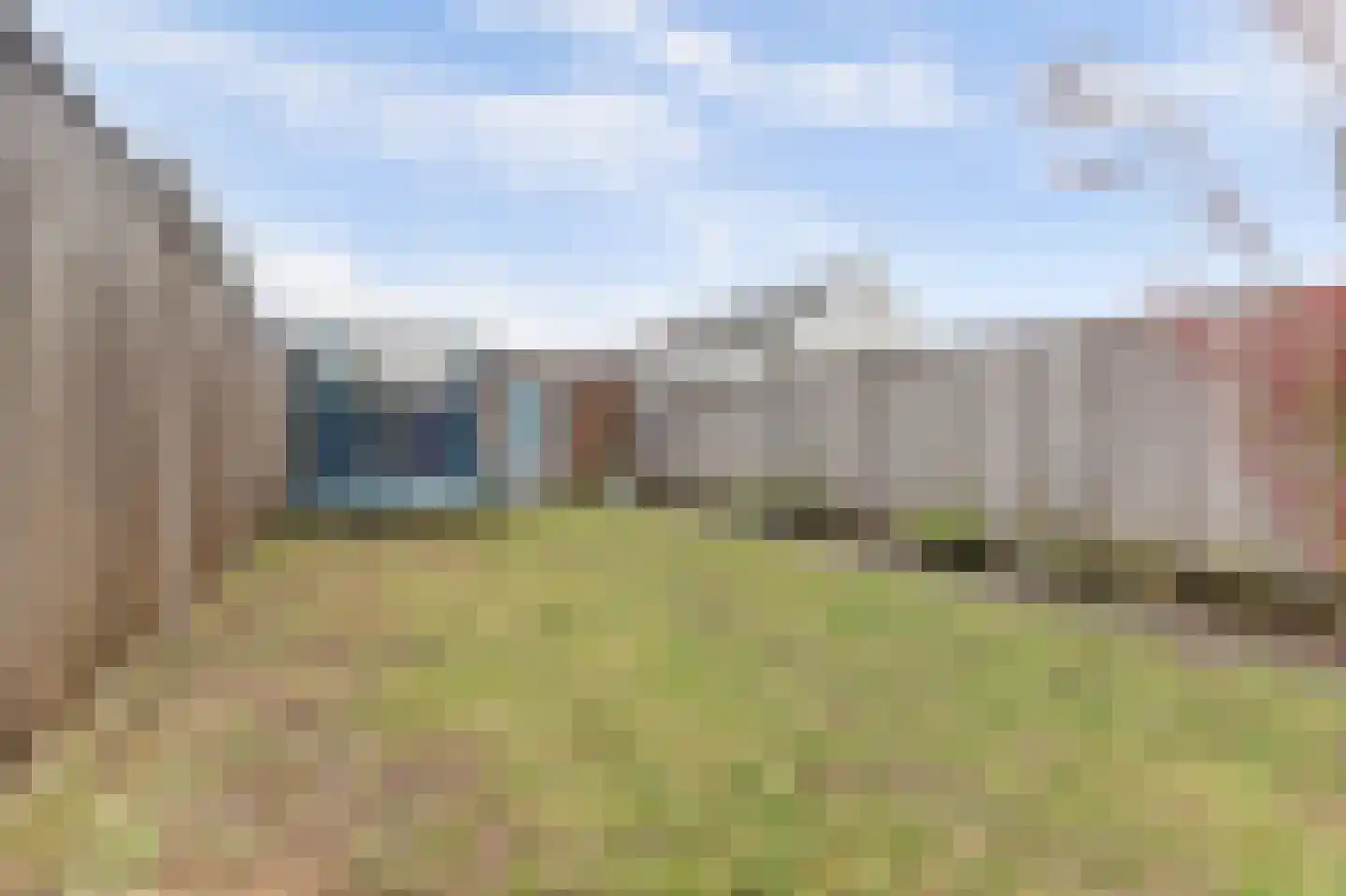 Ranonkel 22 Vlijmen thumbnail 46