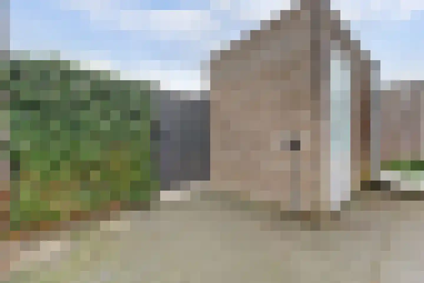 Ranonkel 22 Vlijmen thumbnail 47