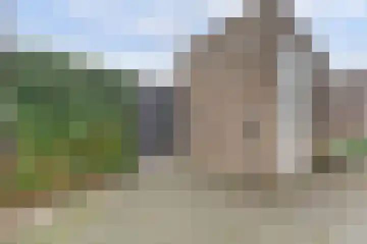 Ranonkel 22 Vlijmen thumbnail 47