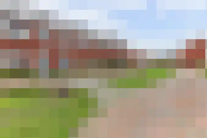 Ranonkel 22 Vlijmen thumbnail 50