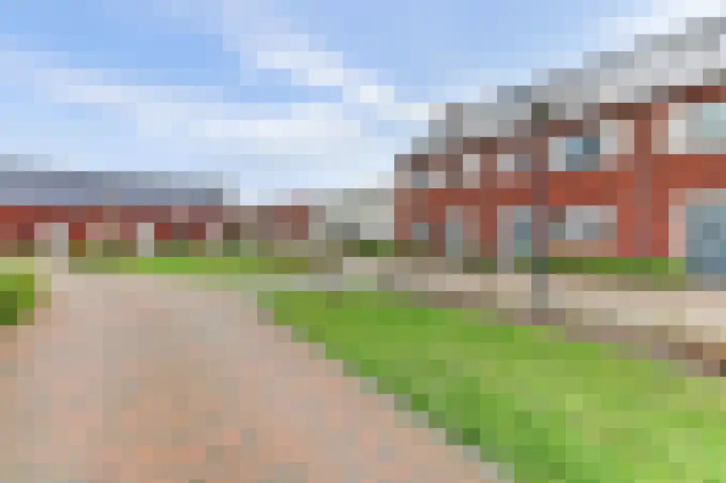 Ranonkel 22 Vlijmen thumbnail 51