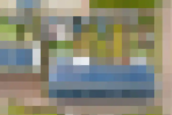 Ranonkel 22 Vlijmen thumbnail 52