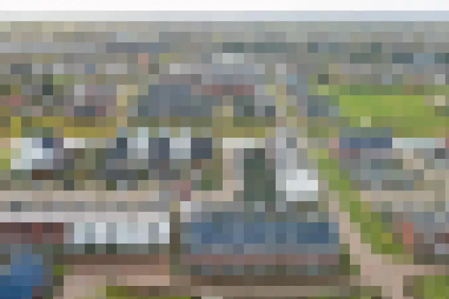Ranonkel 22 Vlijmen thumbnail 53