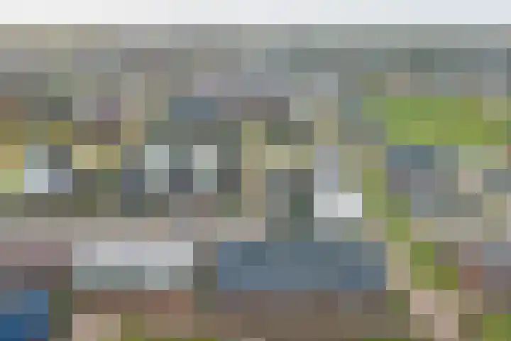 Ranonkel 22 Vlijmen thumbnail 53