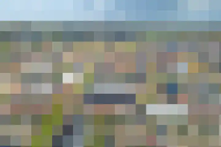 Ranonkel 22 Vlijmen thumbnail 54