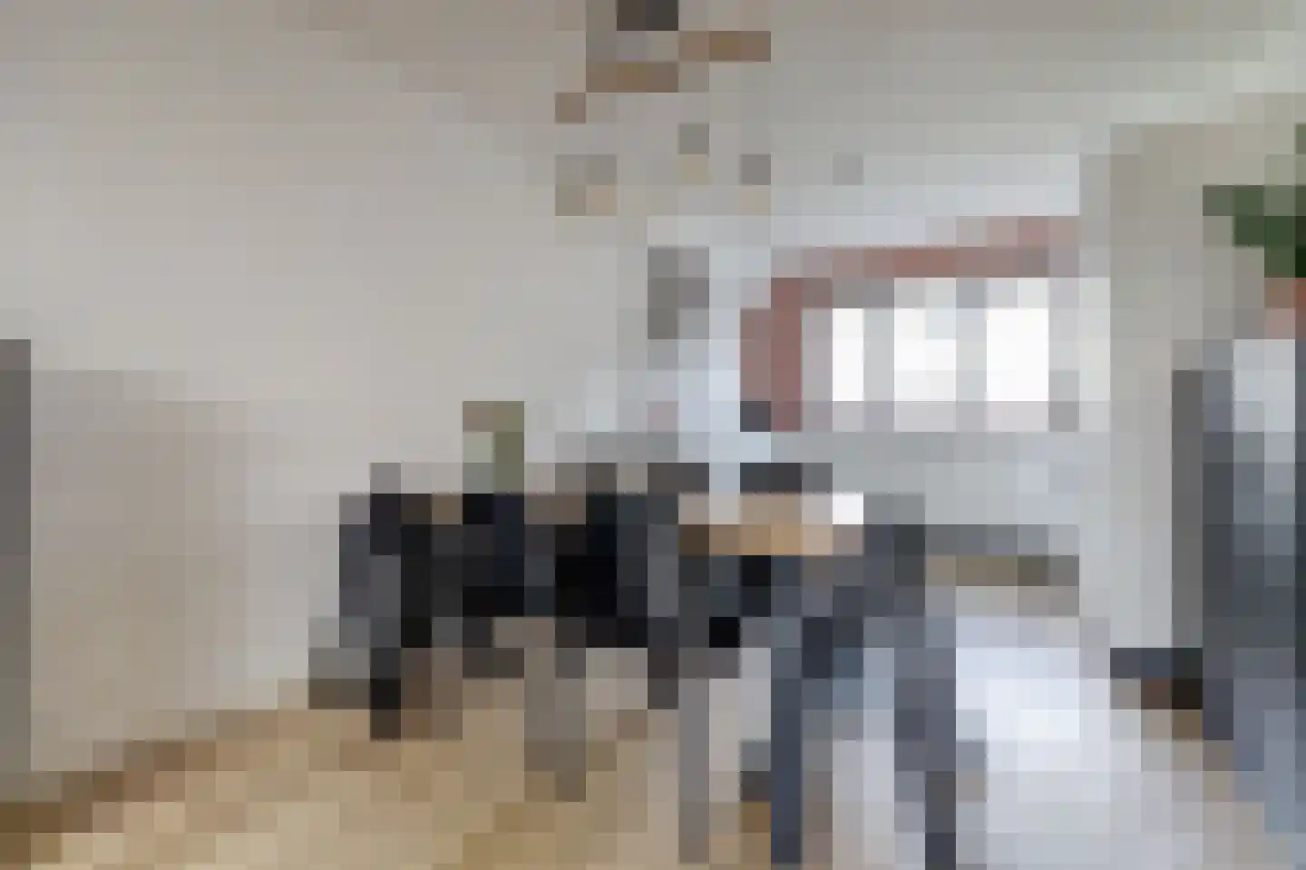 Ranonkel 22 Vlijmen thumbnail 9