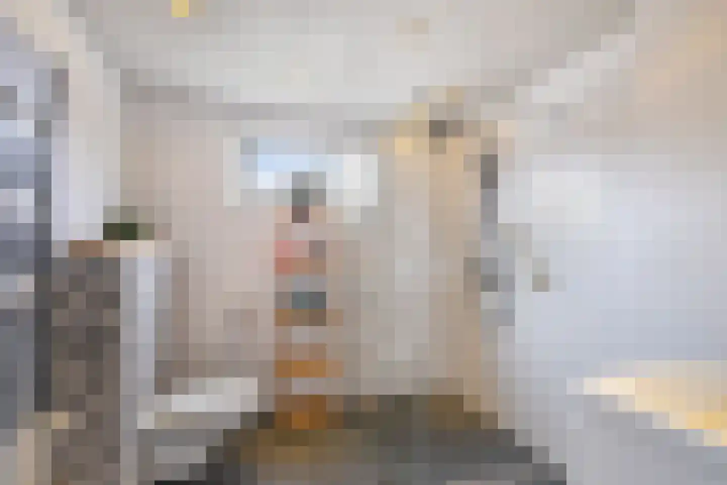 Ranonkel 24 Hoogvliet Rotterdam thumbnail 17