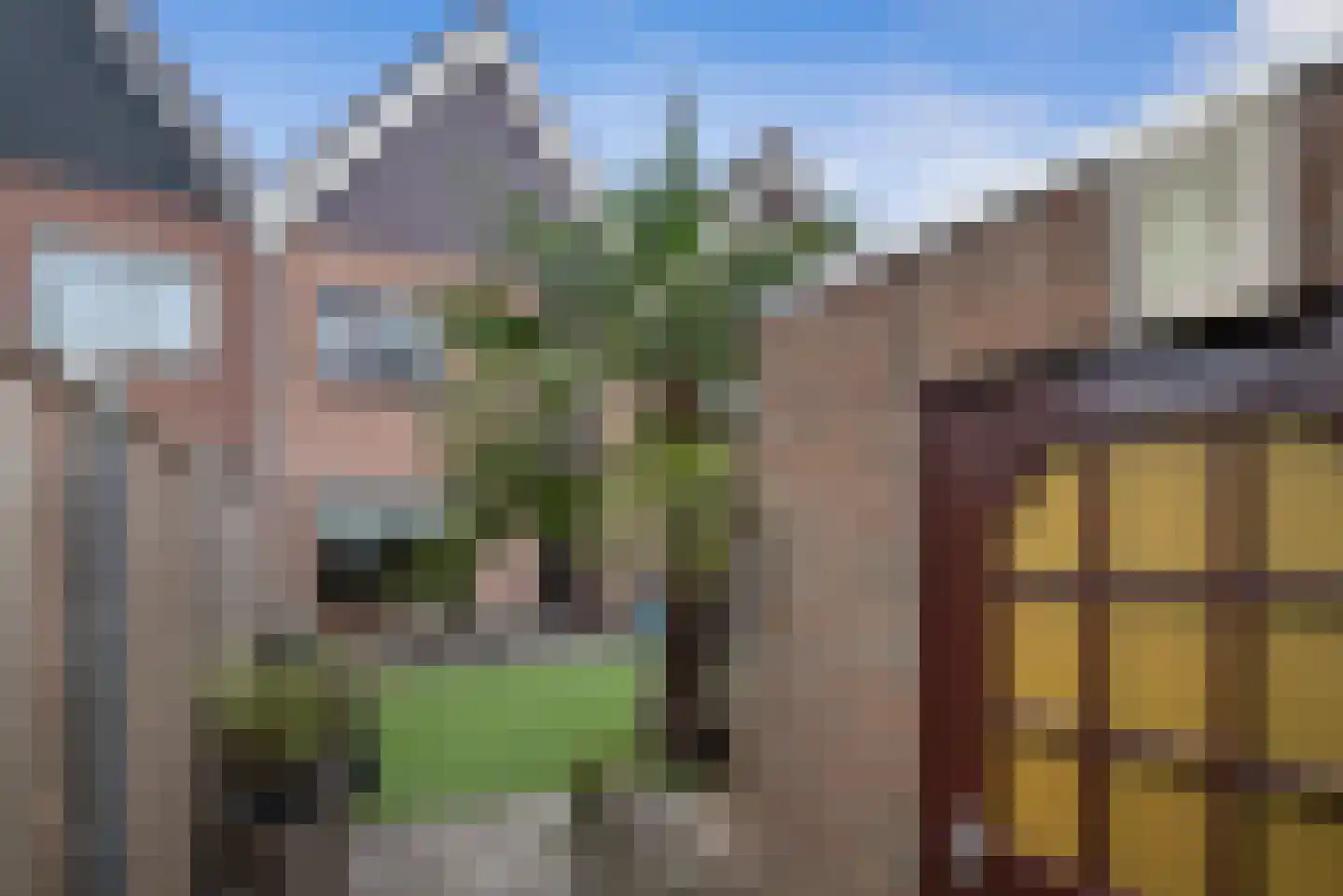 Ranonkel 24 Hoogvliet Rotterdam thumbnail 26