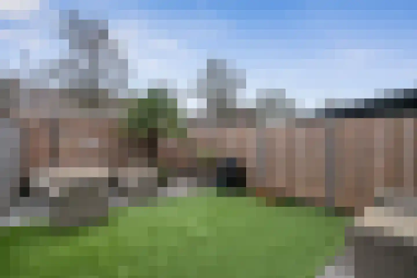 Ranonkel 24 Hoogvliet Rotterdam thumbnail 28