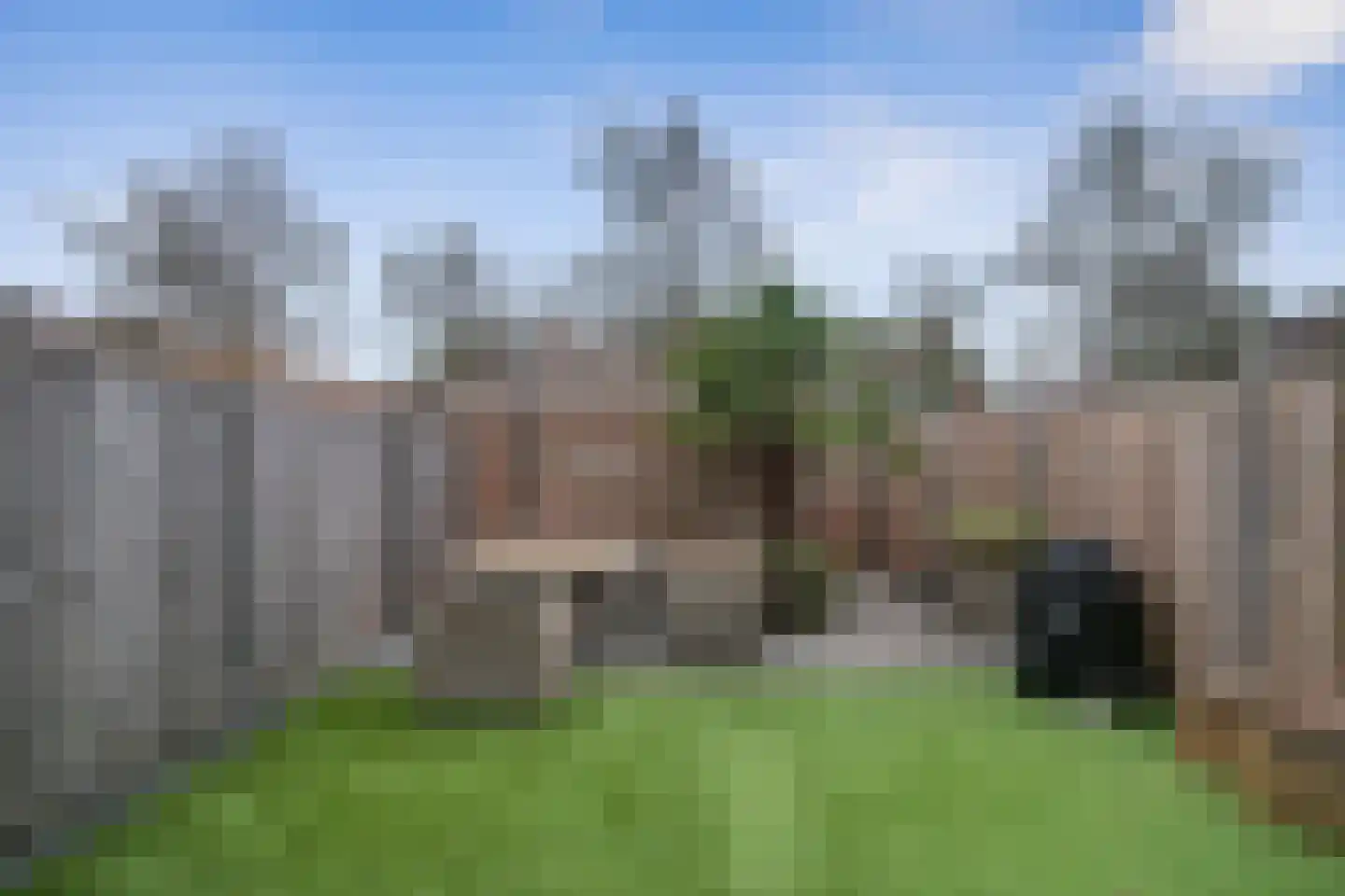 Ranonkel 24 Hoogvliet Rotterdam thumbnail 29