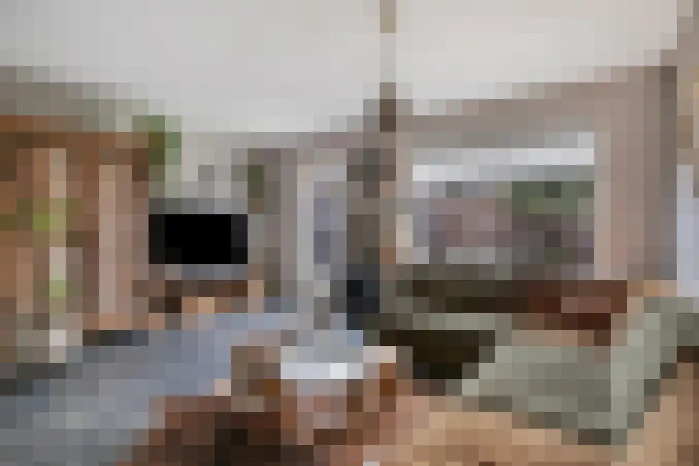 Ranonkel 24 Hoogvliet Rotterdam thumbnail 4