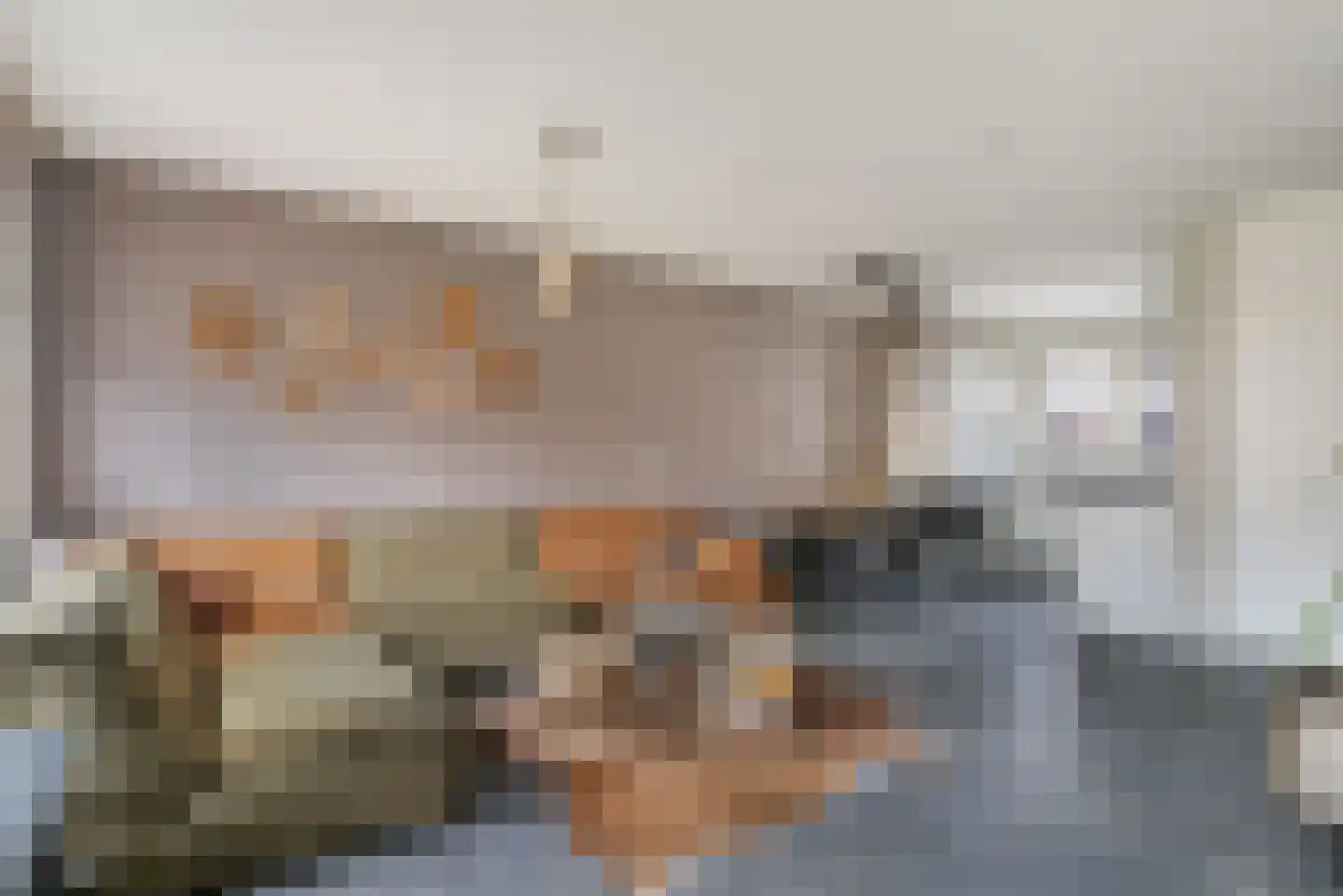 Ranonkel 24 Hoogvliet Rotterdam thumbnail 5