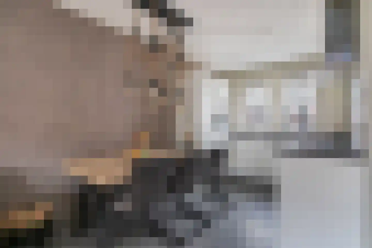 Ranonkel 24 Hoogvliet Rotterdam thumbnail 8