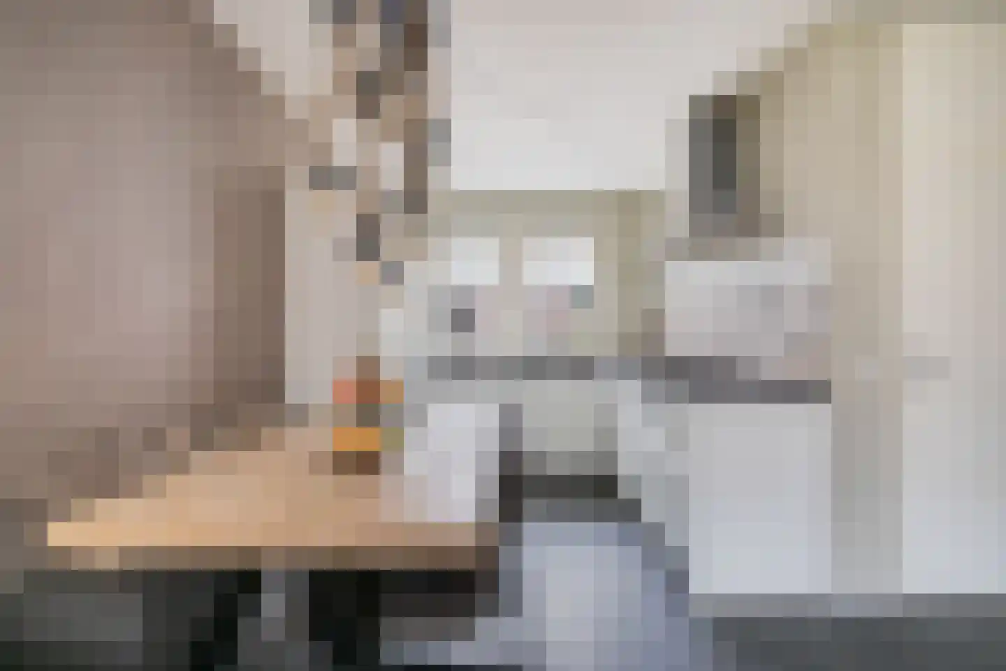 Ranonkel 24 Hoogvliet Rotterdam thumbnail 9