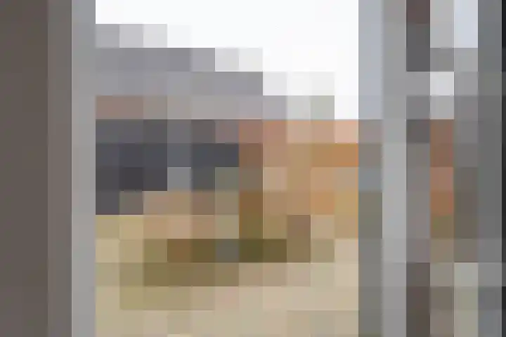 Ranonkel 27 Gendringen thumbnail 16