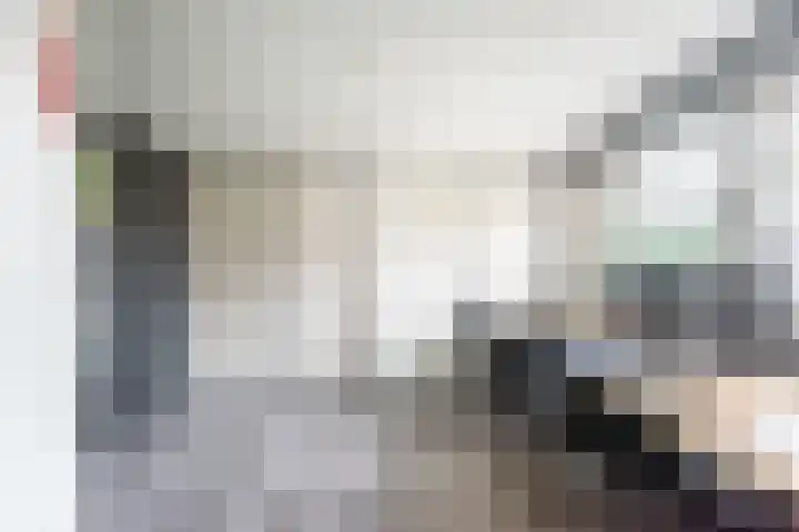 Ranonkel 27 Gendringen thumbnail 22